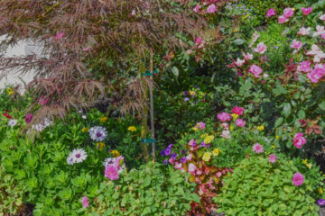 Seasonal Flower Installation