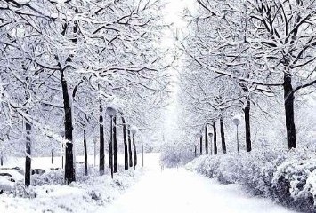 Snow Removal Services