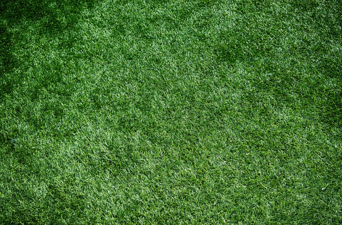 artificial turf franklin