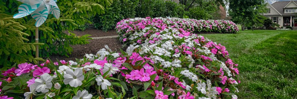 GreenScene-BeautifulHome-2