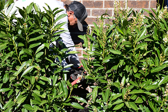 Give your irrigation system a professional start-up this spring!