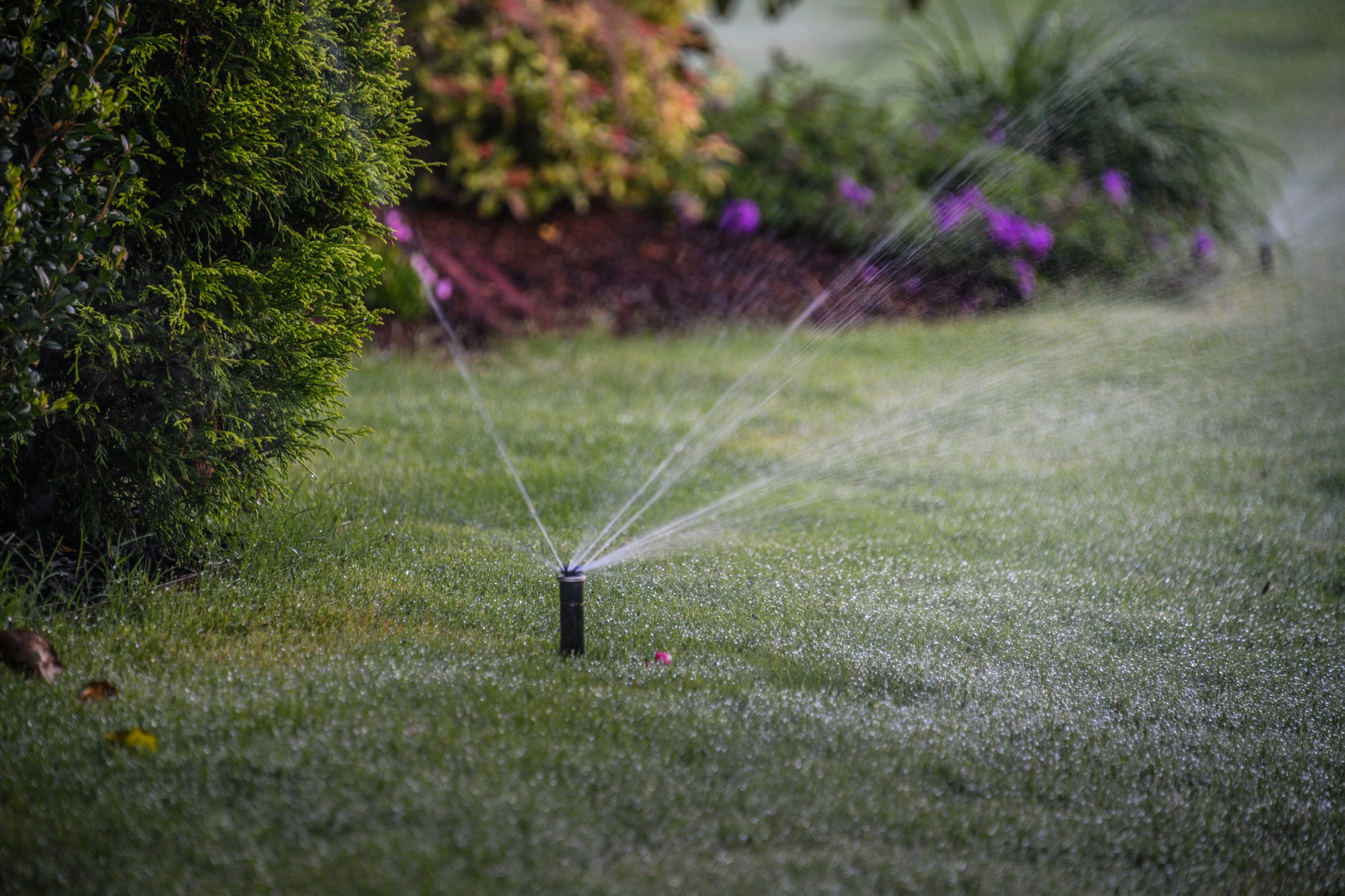 Give your irrigation system a professional start-up this spring!